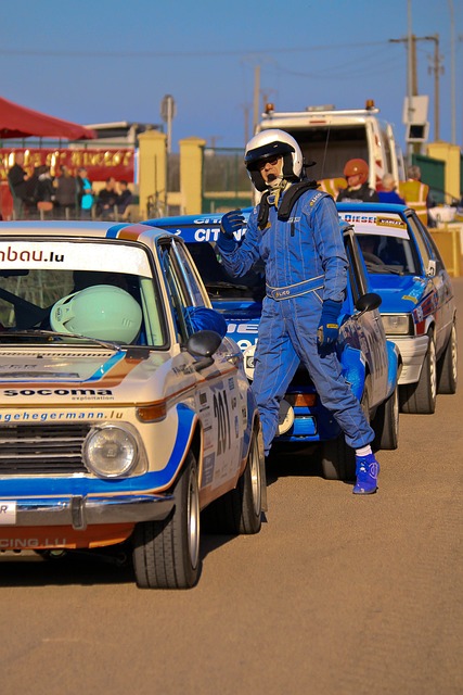 特的追逐正 特的追逐正