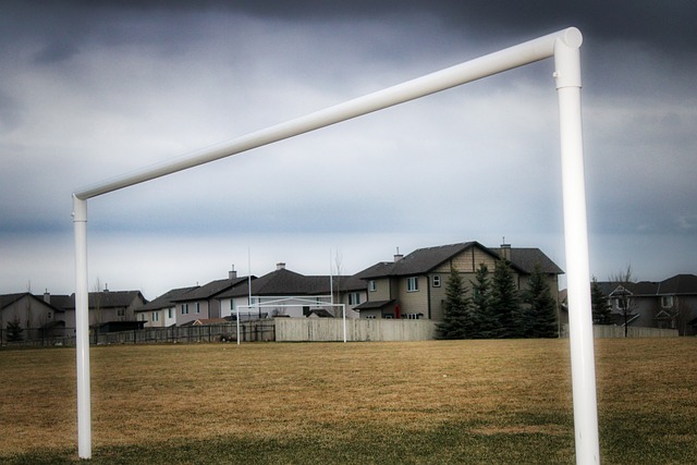 的加持下 的加持下